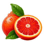 Illustration of a halved blood orange